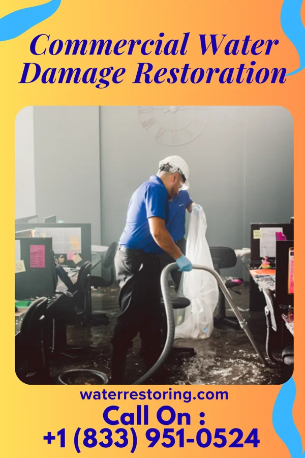 Commercial Water Damage Restoration in Henning, MN