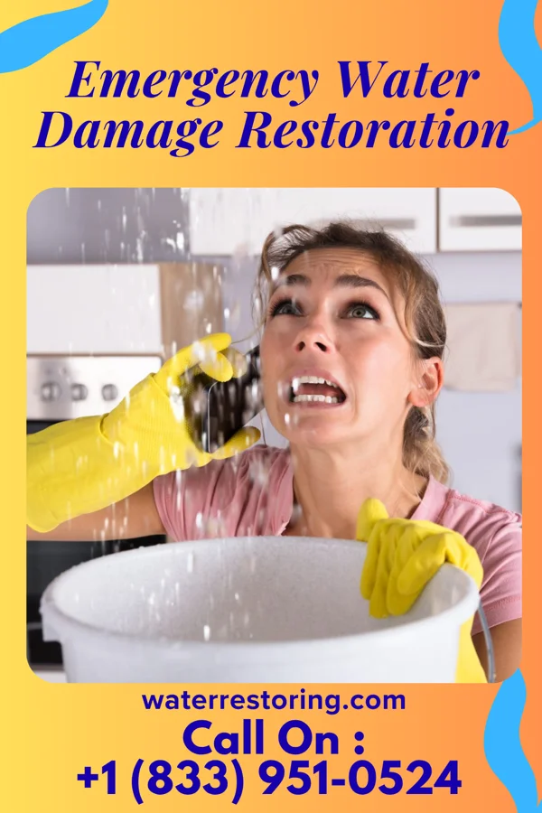 Emergency Water Damage Restoration in Henning, MN